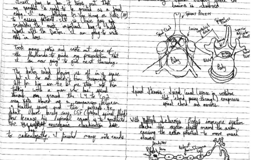 2010 Neurosurgery Journal